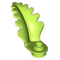 Planta com folha curva e vertical Verde Limão