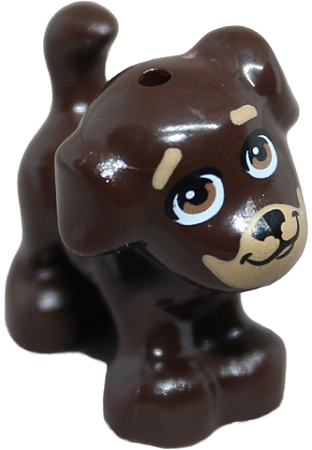 Cachorro Filhote Marrom Escuro