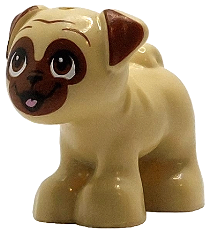 Cachorro Pug Bege em Pé com Focinho Marrom