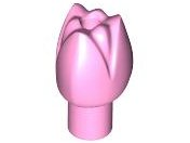 Flor de Tulipa com uma Rosa Brilhante