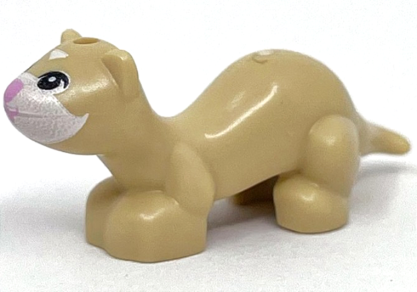 Furão Bege