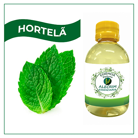 Essencia Hortelã
