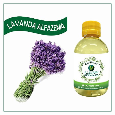 Essencia Lavanda Alfazema