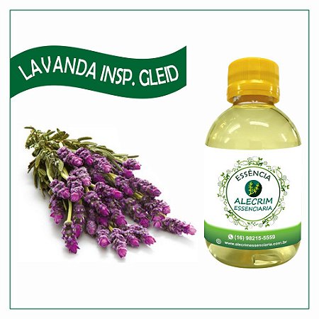 Essencia Lavanda Gleidi