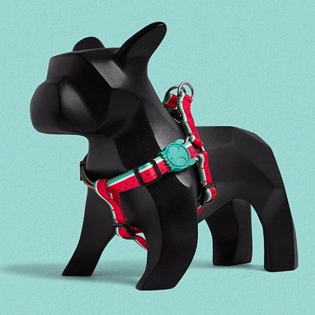 Coleira zeedog peitoral Outlet