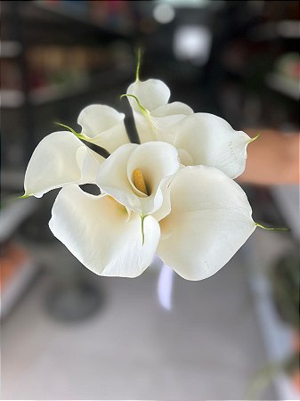 Buque Noiva 6 Copos de Leite