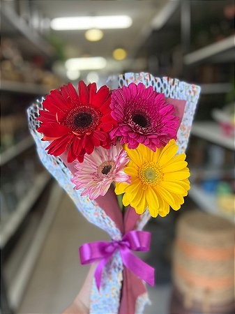 Rmalhete 4 Gérberas