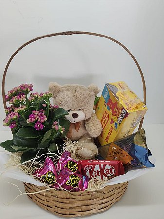 Cesta Urso, Chocolates e Kalanchoe