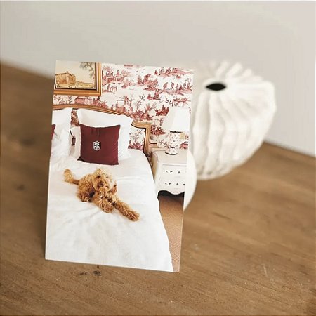 Revelação de 30 Fotos Tamanho 13x18 cm em Papel Fotográfico