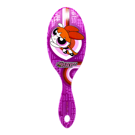 Escova Oval Grande Warner PPG Meninas Super Poderosas Florzinha 8902 - Marco Boni