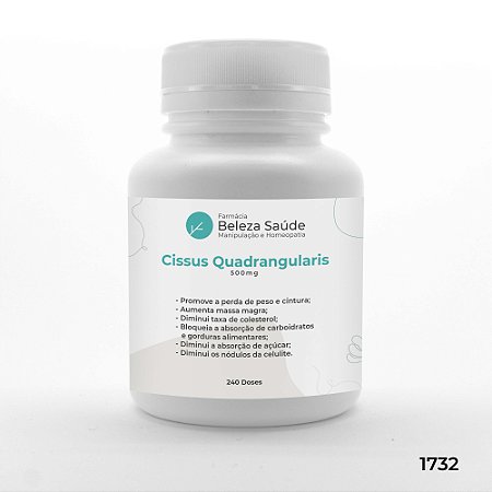 Cissus Quadrangularis 500mg Manutenção do Peso - 240 doses