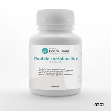 Probióticos para Emagrecer Perda Peso  : Pool de Lactobacillus 6 Bilhões Ufc - 120 doses