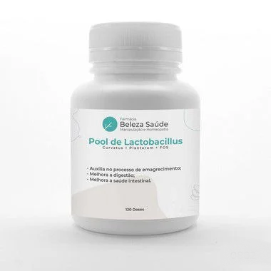 Probióticos para Digestão e Alívio Intestinal : Pool de Lactobacillus Curvatus + Plantarum + FOS - 120 doses
