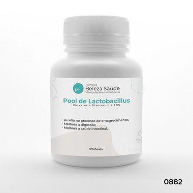 Probióticos para Digestão e Alívio Intestinal : Pool de Lactobacillus Curvatus + Plantarum + FOS - 120 doses