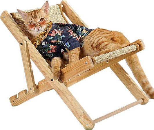 Arranhador para Gatos Divers o e Cuidado com as Garras do seu Pet