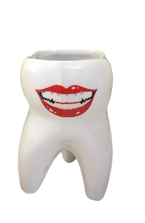 Porta Escovas Dente Molar