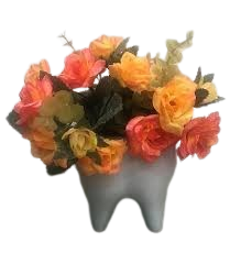 Vasinho em Forma de Dente