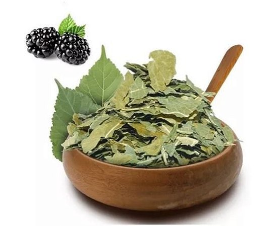CHÁ DE FOLHAS DE AMORA (Morus Nigra)