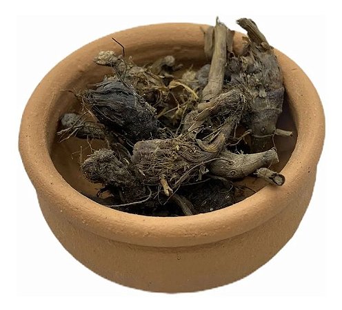 DANDÁ DA COSTA (Cyperus Rotundus)