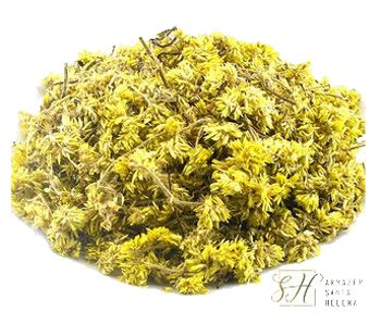 CHÁ DE MACELA (Achyrocline Satureioides)
