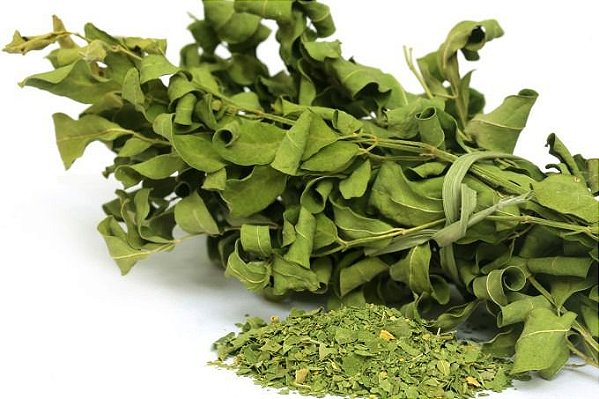 CHÁ DE MORINGA (Moringa Oleifera)