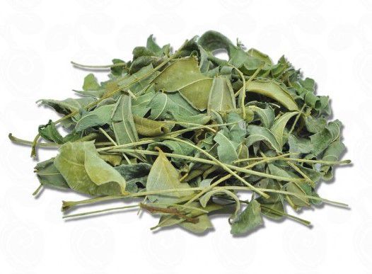 CHÁ DE MORINGA (Moringa Oleifera)