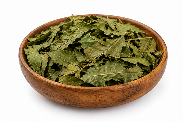 CHÁ DE NEEM INDIANO (NIM, Azadirachta Indica)