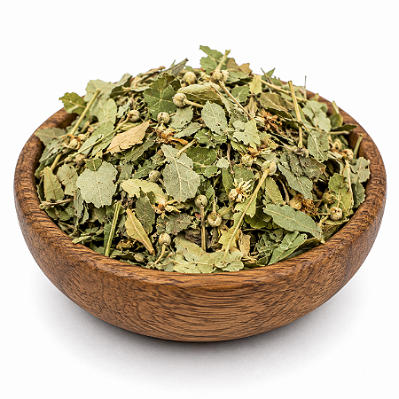 CHÁ DE TÍLIA (Tilia cordata Miller)