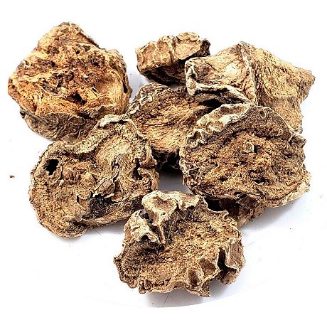 CHÁ DE GARRA DO DIABO (Harpagophytum Procumbens)