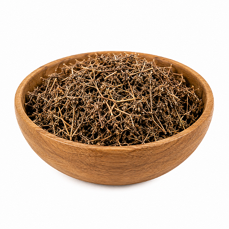 CHÁ DE SETE SANGRIAS (Cuphea Carthagenensis)