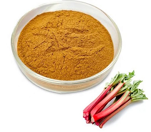 CHÁ DE RUIBARBO EM PÓ (Rheum Palmatum)