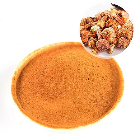 COGUMELO DO SOL EM PÓ (Agaricus Blazei Murril)