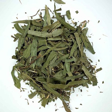 EUCALIPTO GLOBULUS (Eucalypthus Globulus Labill)