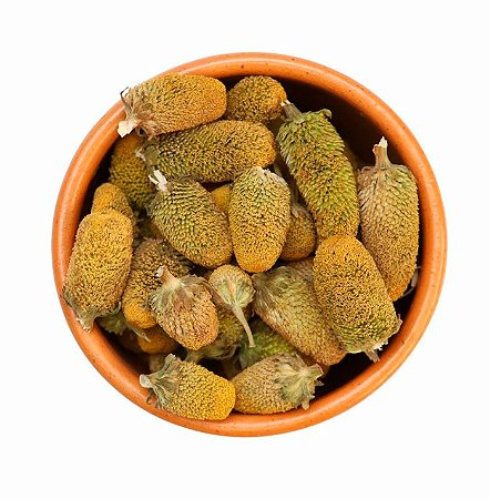 FLOR DE JAMBU Spilanthes oleracea)