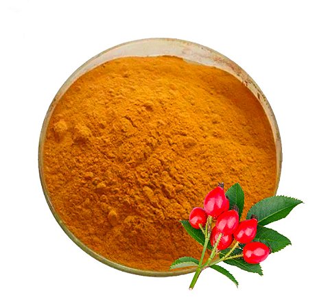 ROSA MOSQUETA EM PÓ (Rosa Canina) - COM LAUDO DE QUALIDADE