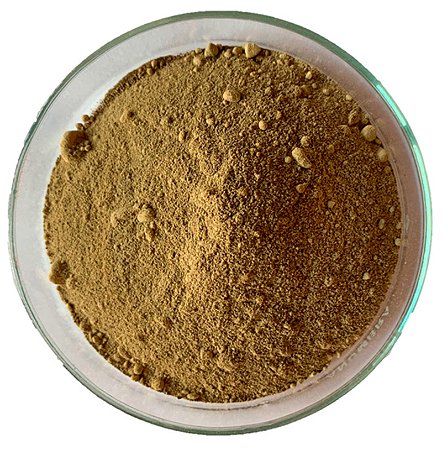 FUCUS VESICULOSOS EM PÓ (Fucus Vesiculosus)