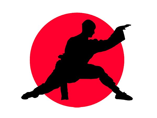 Kung Fu II