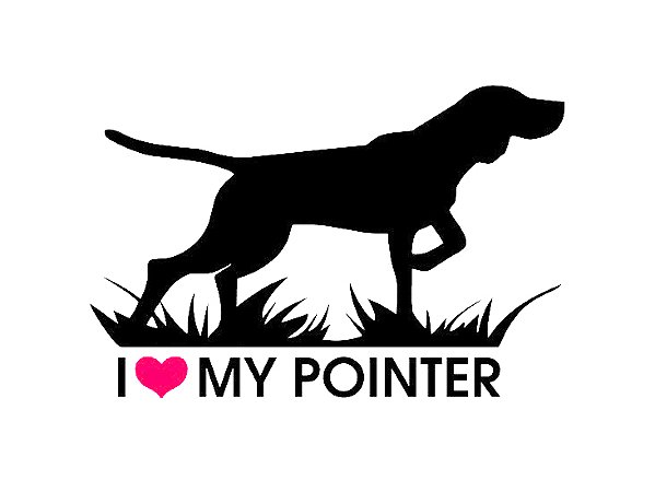 Adesivo Pointer