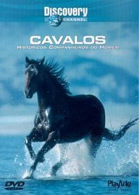 DVD - Cavalos - Historicos companheiros do Homem