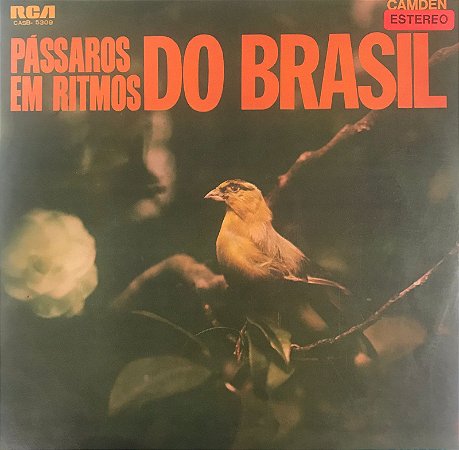 LP - Pássaros Em Ritmos do Brasil (Stereo)