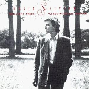 CD - David Sylvian – Brilliant Trees / Words With The Shaman(Importado)