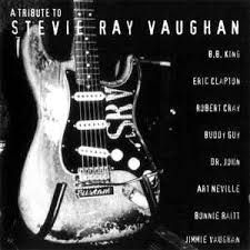 CD - A Tribute To Stevie Ray Vaughan Ray Vaughan (Vários Artistas)