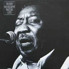 CD - Muddy Waters - Muddy "Mississippi" Waters Live