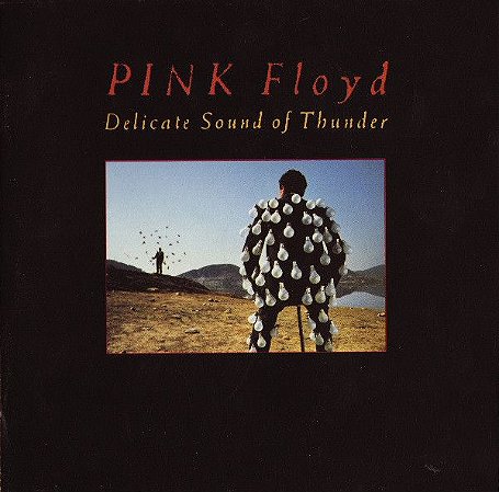 CD - Pink Floyd ‎– Delicate Sound Of Thunder (Cd Duplo)