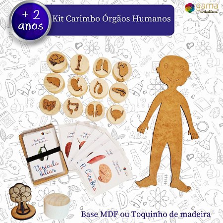 Kit Carimbo Massinha Órgãos Humanos