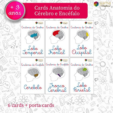 Cards Anatomia Cabeça 6un