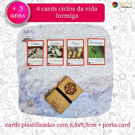 Cards Ciclo Vida Formiga - 4 un