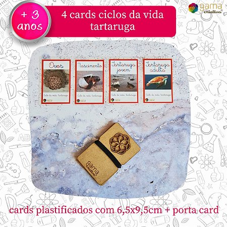 Cards Ciclo Vida Tartaruga - 4un