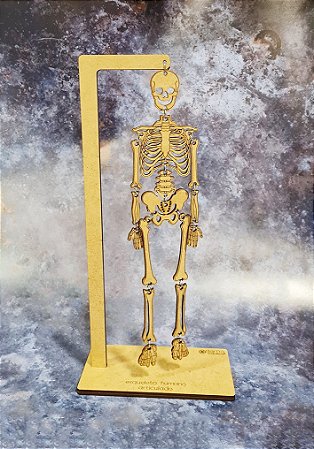 Esqueleto Humano Articulado