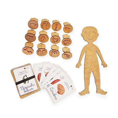 Carimbo Massinha Órgãos Humanos + Cards - base MDF